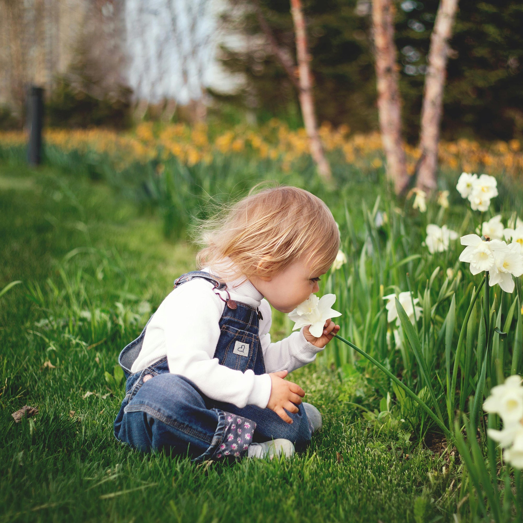 Caring for Creation: A Christian's Guide to Sustainable Living (and Why Bamboo Matters)